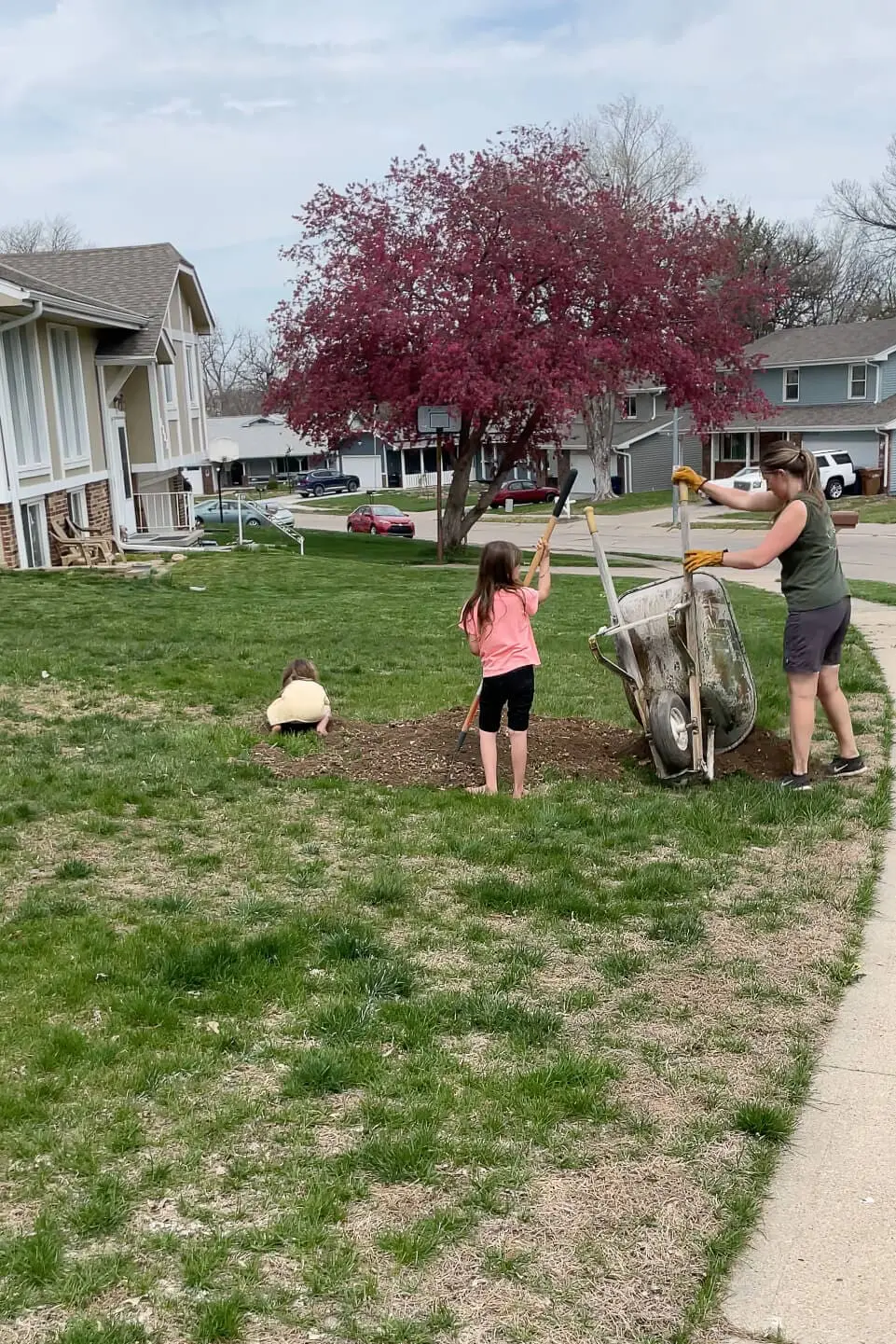 Moving dirt to fill in low spots in our yard before laying sod.